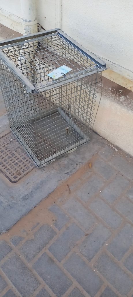 Irshad Pest Control — pest control in Abu Dhabi, photo 1