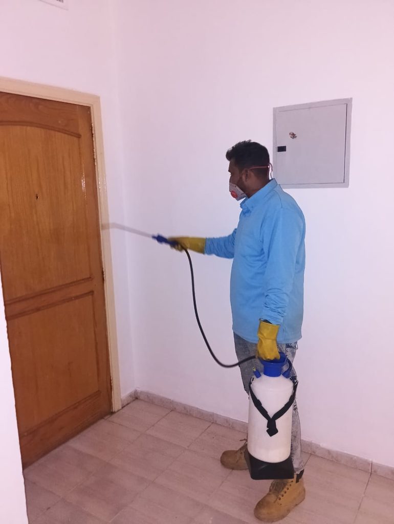 Killex Pest Control — pest control in Ajman, photo 1
