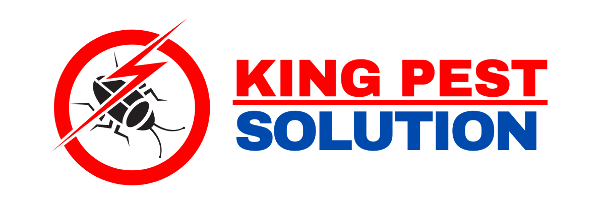 King Pest Solution — pest control in Abu Dhabi, photo 1