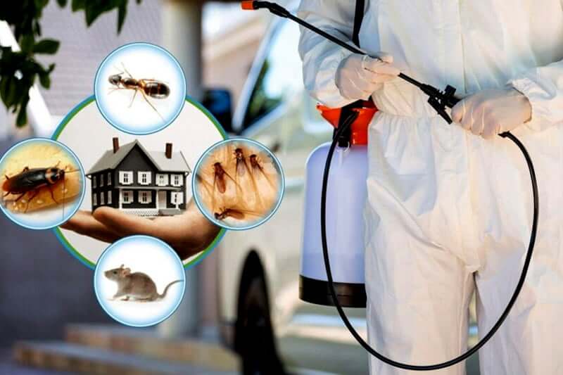Legend Pest Control Services — pest control in Dubai, photo 1