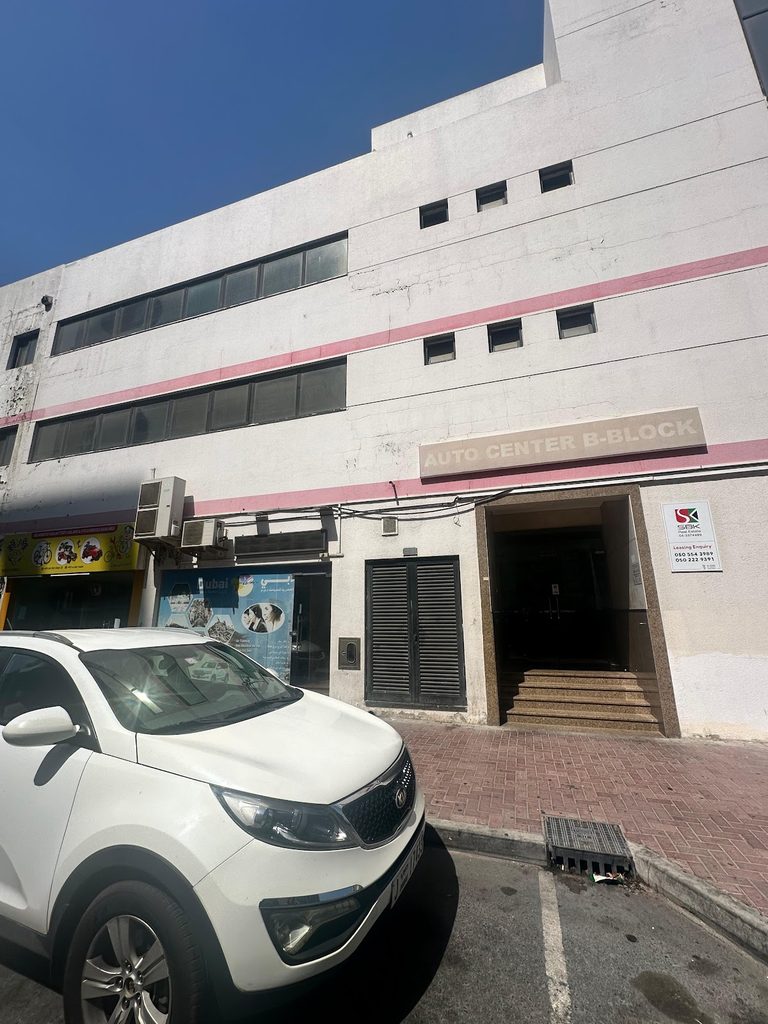 Najat Al Hasharat — pest control in Dubai, photo 1