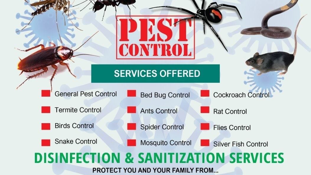 New Blue Diamond Pest Control Services (Abu Dhabi) — pest control in Abu Dhabi, photo 1