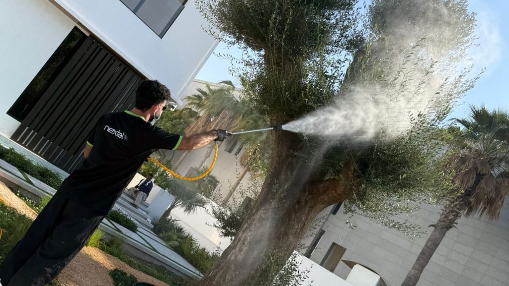 Nextal Pest Control LLC — pest control in Dubai, photo 1