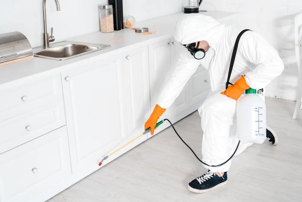 Pearland Pest Control — pest control in Ajman, photo 1