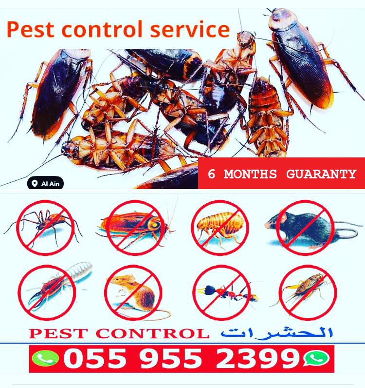 Pest Control Service (Al Ain) — pest control in Abu Dhabi, photo 1