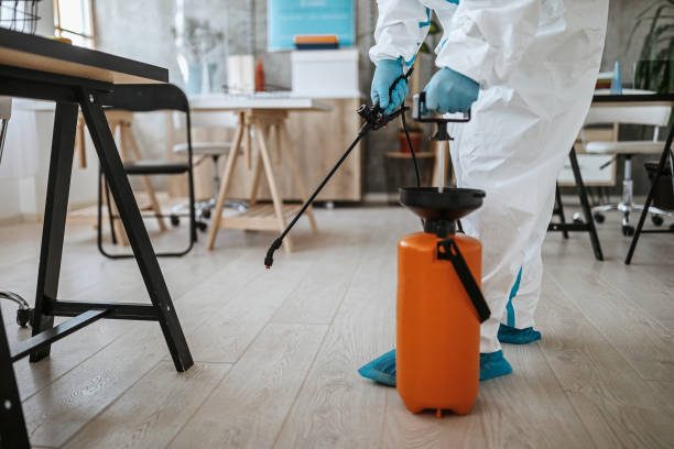 Pest Control (Sharjah) — pest control in Sharjah, photo 1