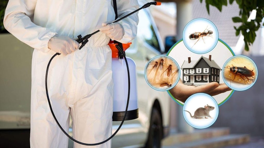 Pest Control (Sharjah) — pest control in Sharjah, photo 2