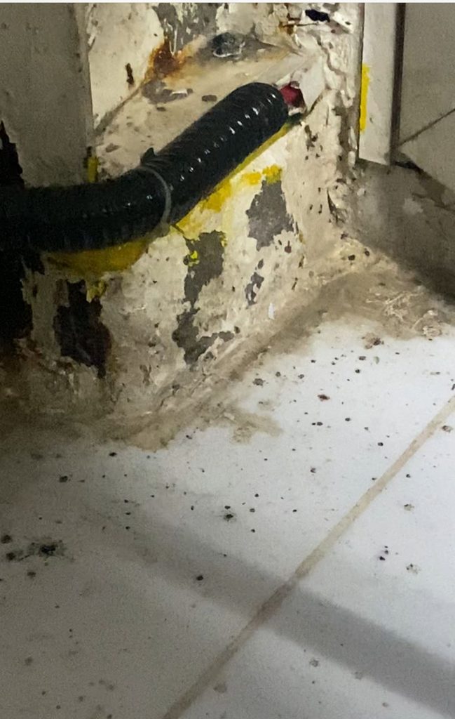 Pest Guard LLC — pest control in Abu Dhabi, photo 1