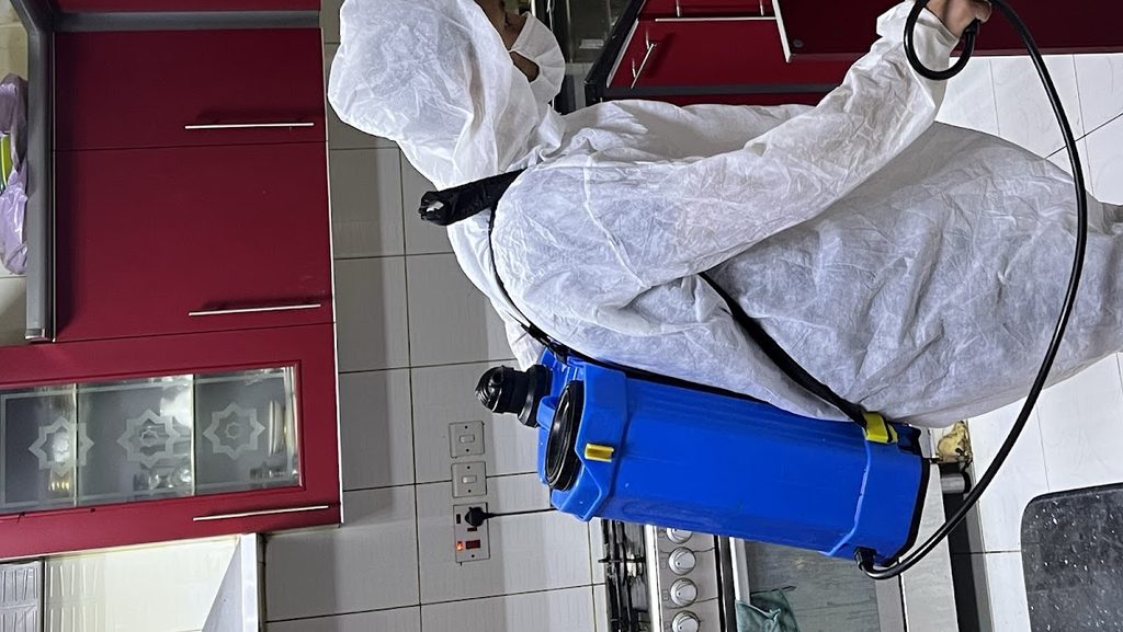 Pest & Pigeon Control (Abu Dhabi) — pest control in Abu Dhabi, photo 1