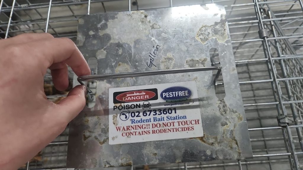 Pestfree LLC — pest control in Dubai, photo 1