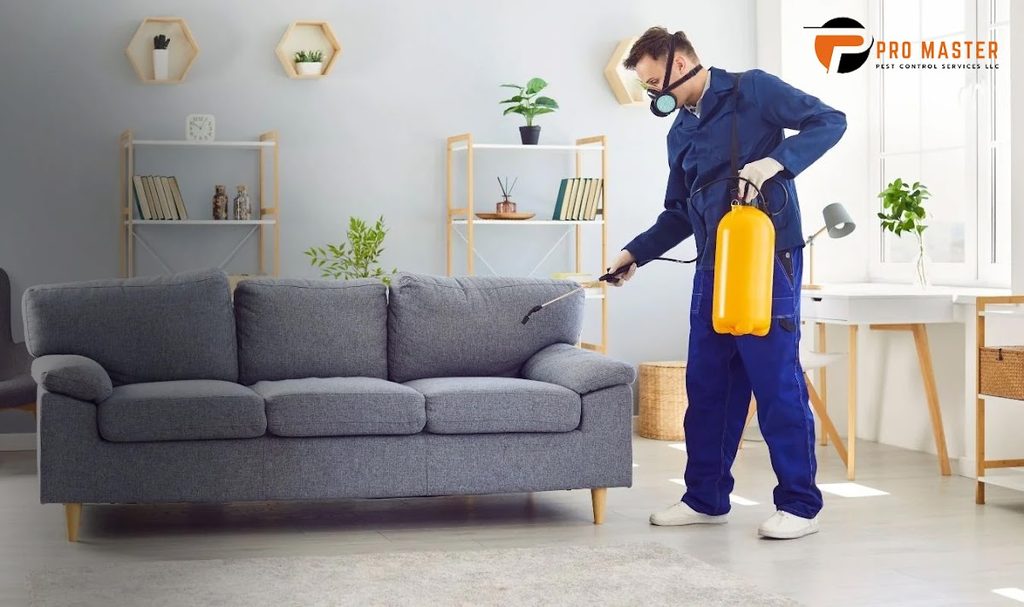 Pro Master Pest Control Services LLC — pest control in Dubai, photo 1