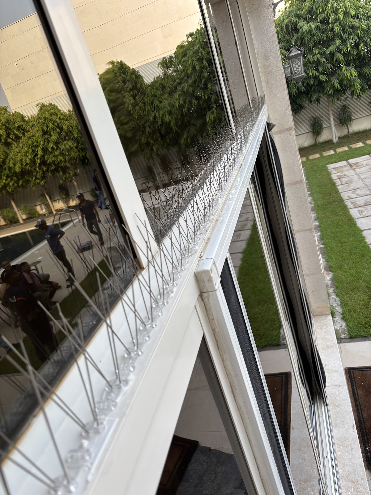 Pro Star Pest Control Services LLC — pest control in Dubai, photo 1