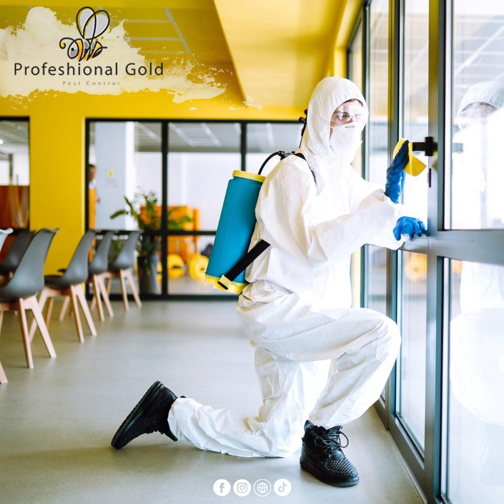 Profeshional Gold Pest Control — pest control in Abu Dhabi, photo 1