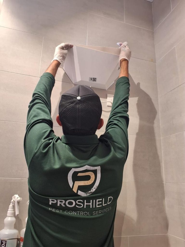 Proshield Pest Control — pest control in Abu Dhabi, photo 1