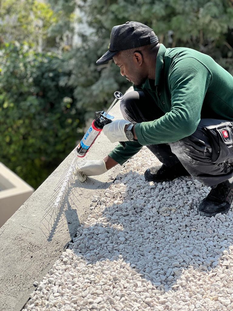 Proshield Pest Control — pest control in Dubai, photo 1