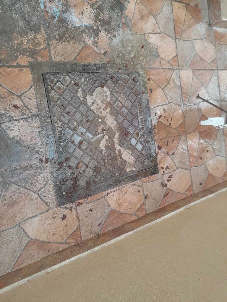 Qatarat Pest Control (Sharjah) — pest control in Sharjah, photo 1