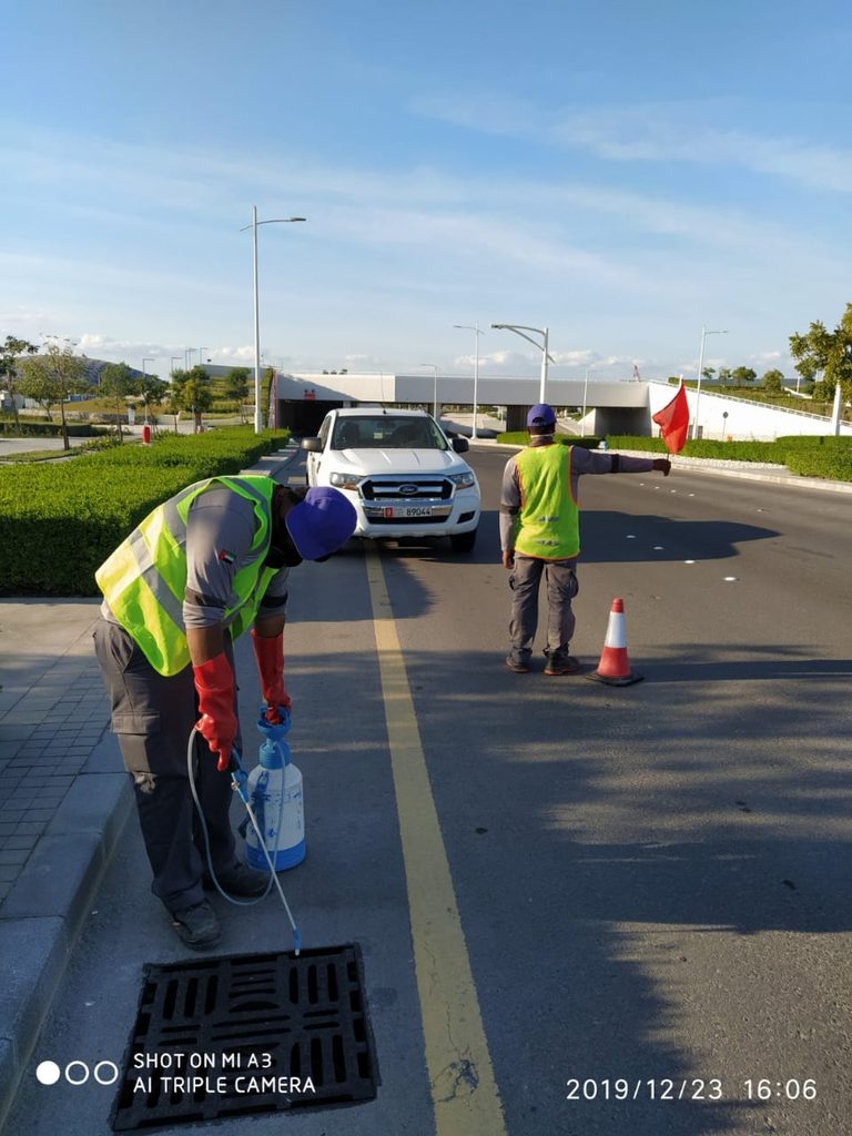 Quality Pest Control LLC — pest control in Dubai, photo 1