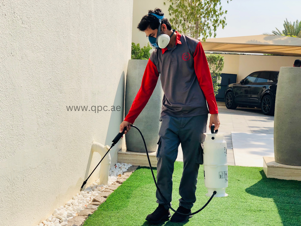 Quality Pest Control LLC — pest control in Dubai, photo 3