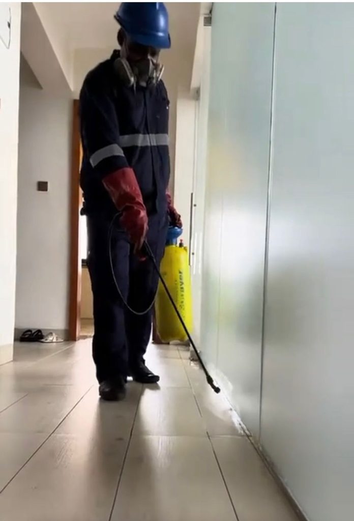 RBN Best Cockroach Pest Control — pest control in Dubai, photo 1