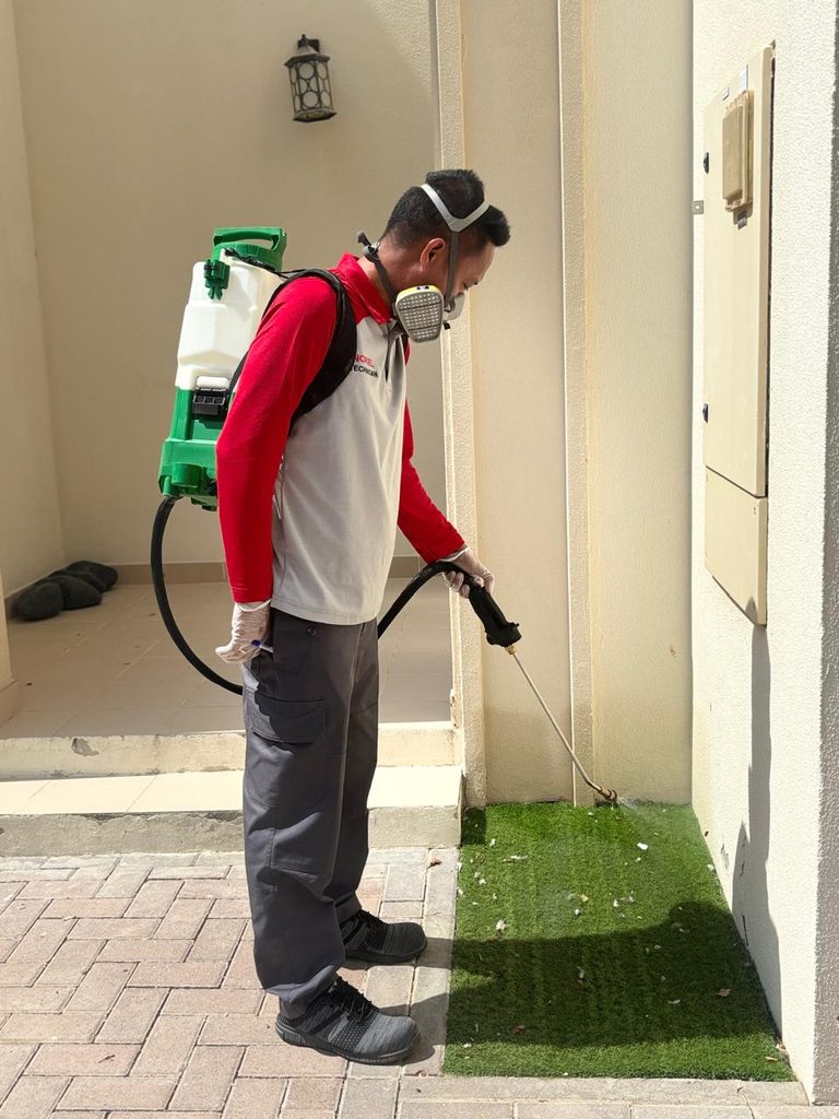 Ridapest (Dubai) — pest control in Dubai, photo 1