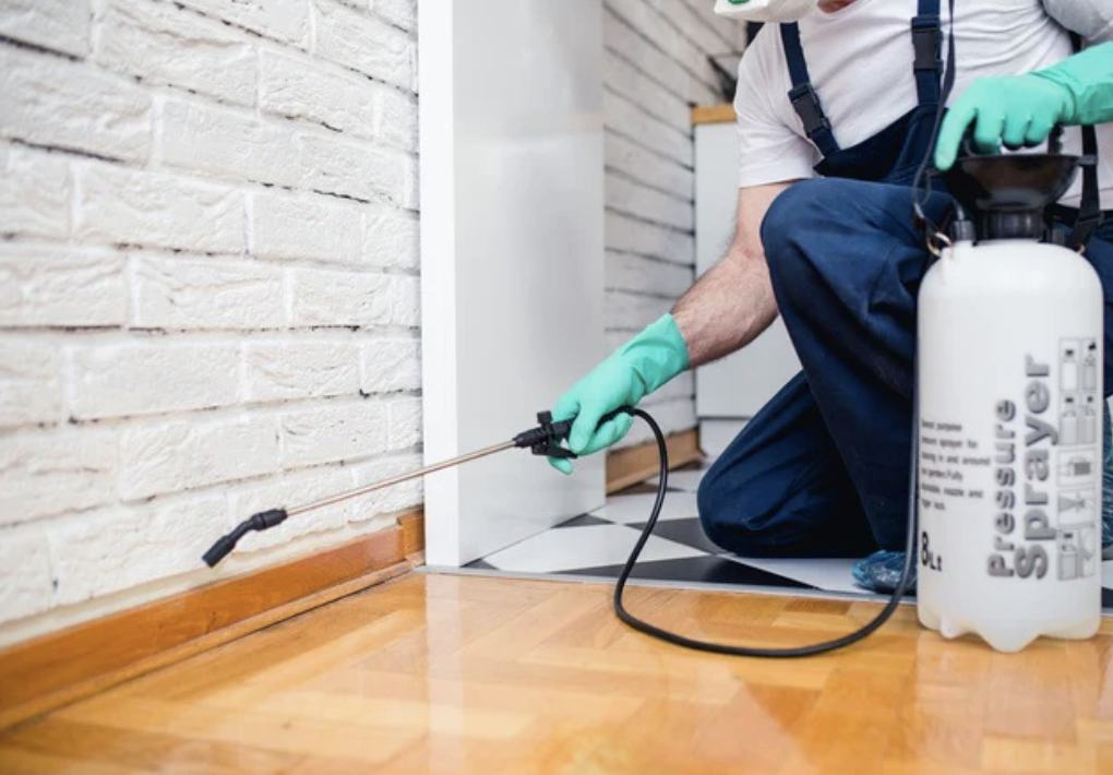 Spray Ahead Pest Control LLC — pest control in Dubai, photo 1