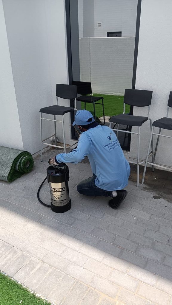 Super Dream Pest Control — pest control in Dubai, photo 1