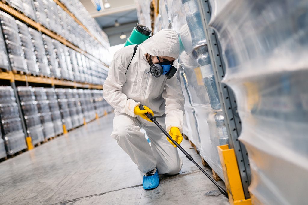 Supernova Pest Control Service LLC — pest control in Dubai, photo 1