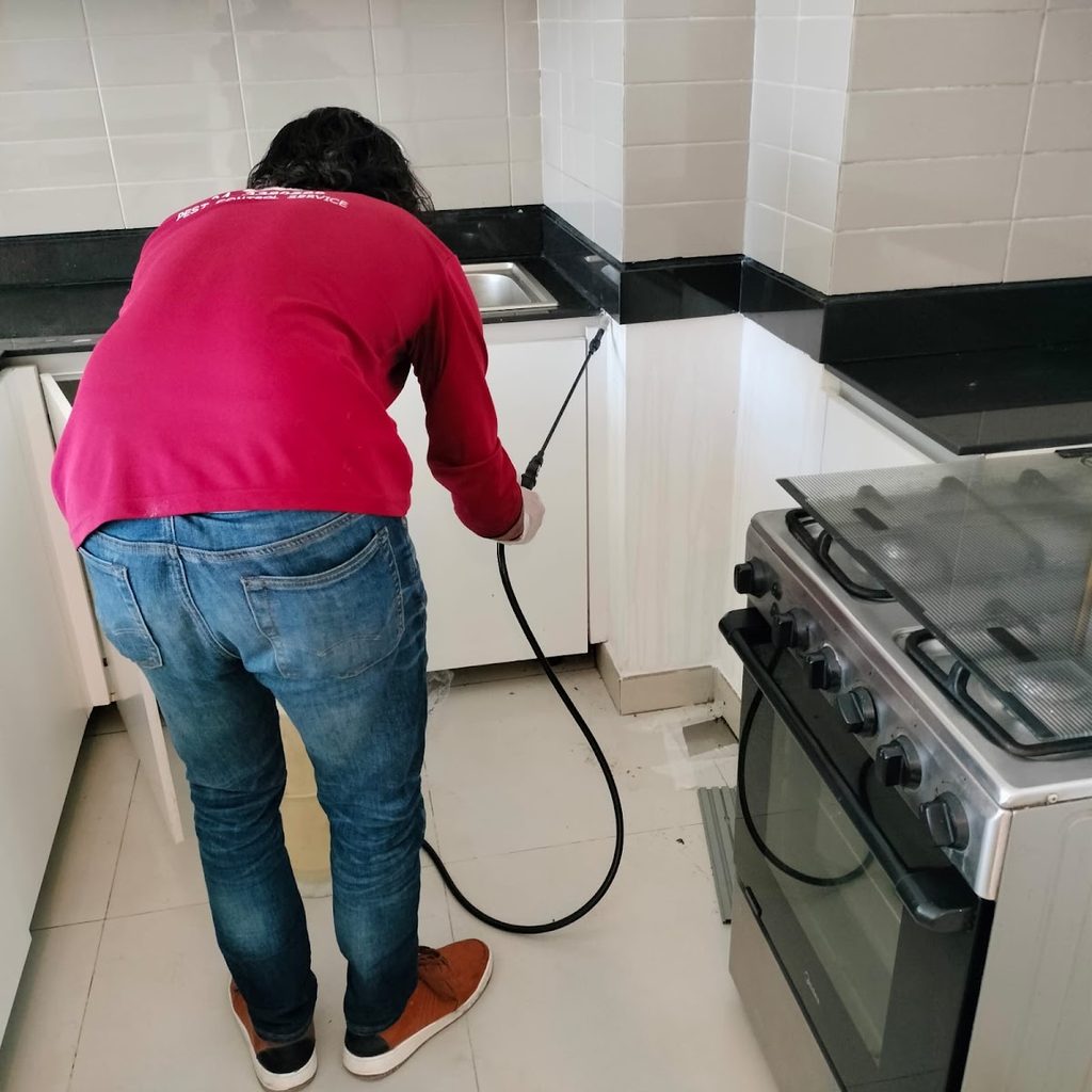 Swarm Pest Control Company — pest control in Dubai, photo 1