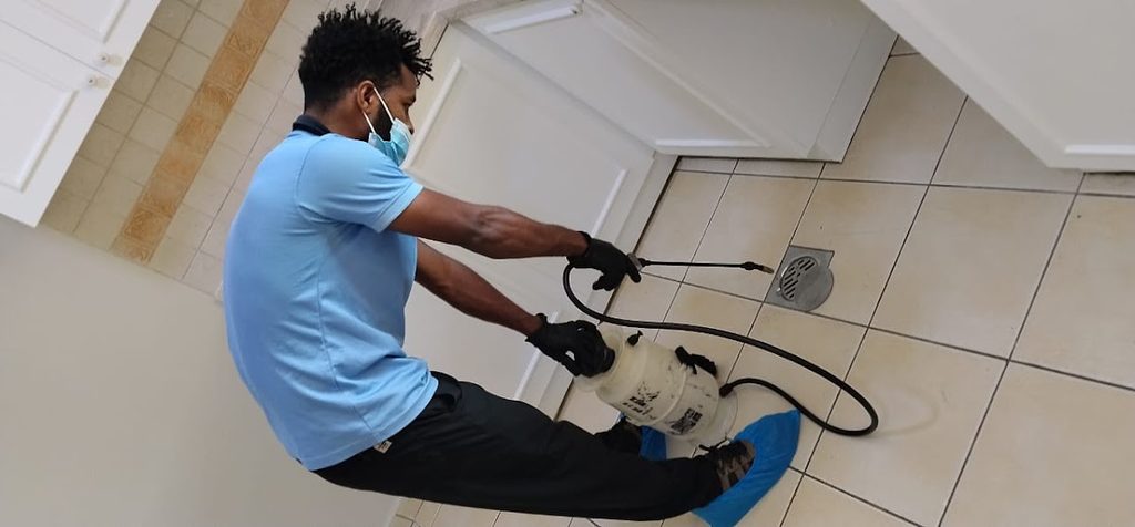 Taqeed Pest Control — pest control in Dubai, photo 1