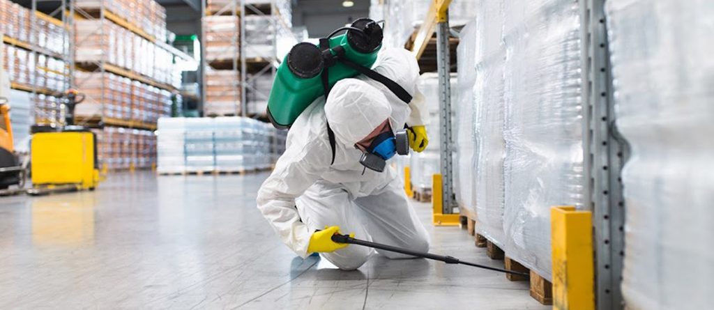 Tareeq Muwaileh Pest Control — pest control in Sharjah, photo 1