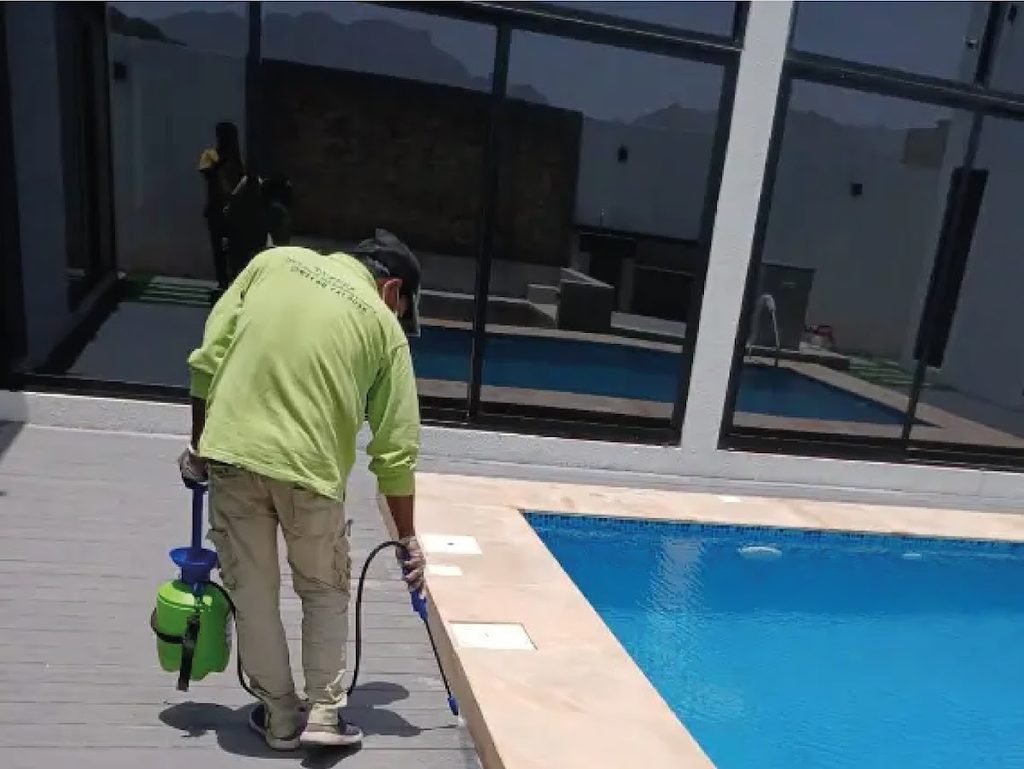 Tazeez Pest Control — pest control in Ajman, photo 1