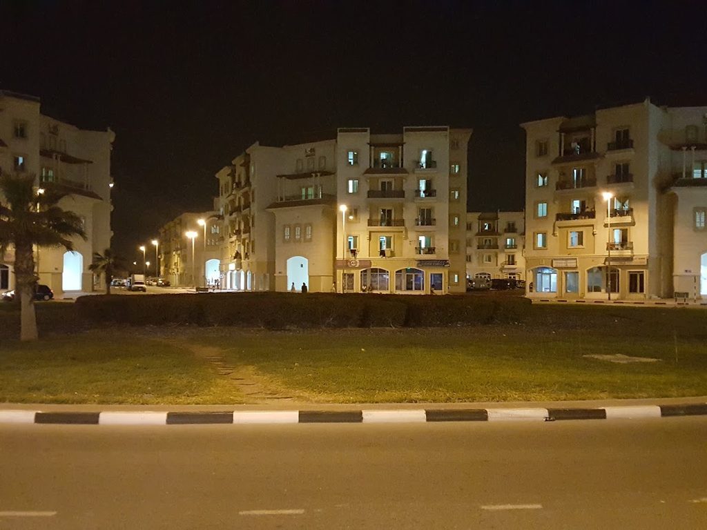 Teluscare Solutions — pest control in Dubai, photo 1