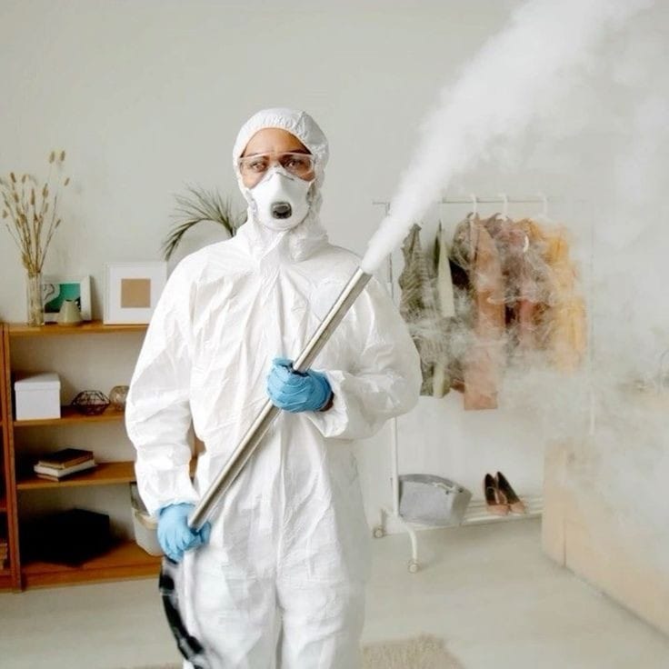 Termite & Rodent Control (Al Ain) — pest control in Abu Dhabi, photo 1