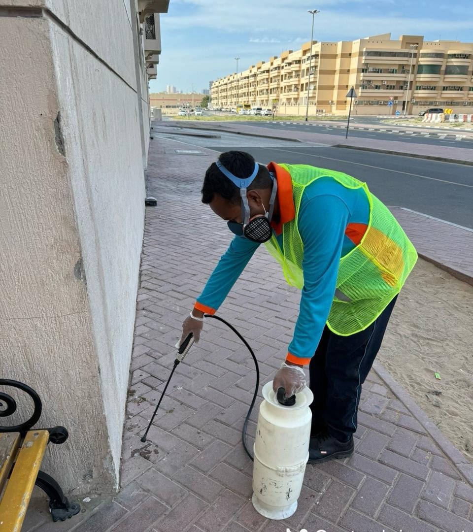 The Pest Exterminators — pest control in Dubai, photo 1