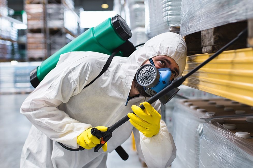 Tripower Pest Control — pest control in Dubai, photo 1