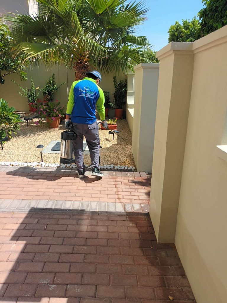 Trust Point Pest Control — pest control in Dubai, photo 1