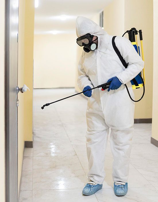 Trustco Pest Control — pest control in Dubai, photo 1