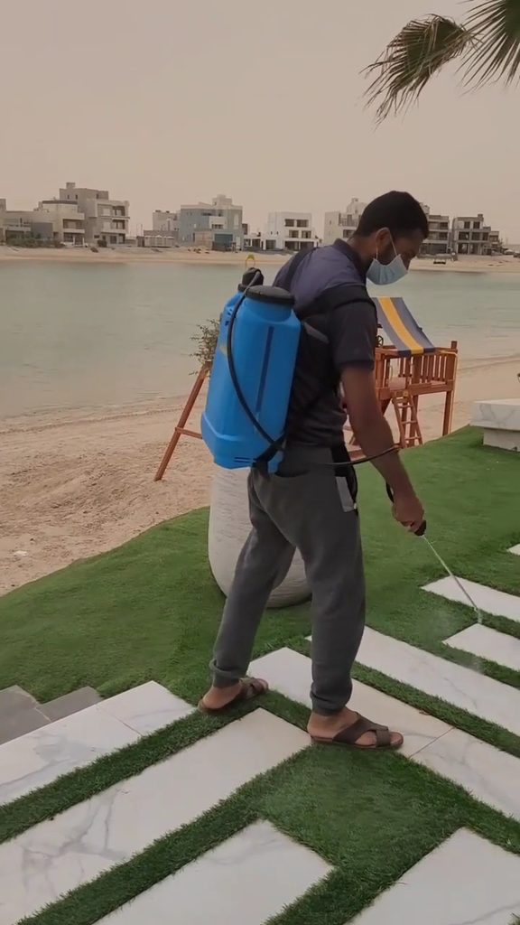 Villa 5 — pest control in Dubai, photo 1