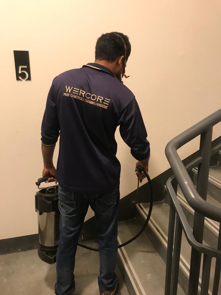 Wercore Pest Control Services LLC — pest control in Dubai, photo 1