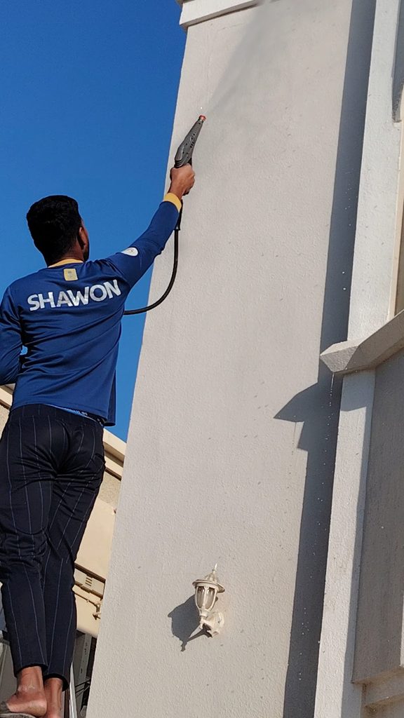 Western Building Maintenance & Pest Control — pest control in Fujairah, photo 1