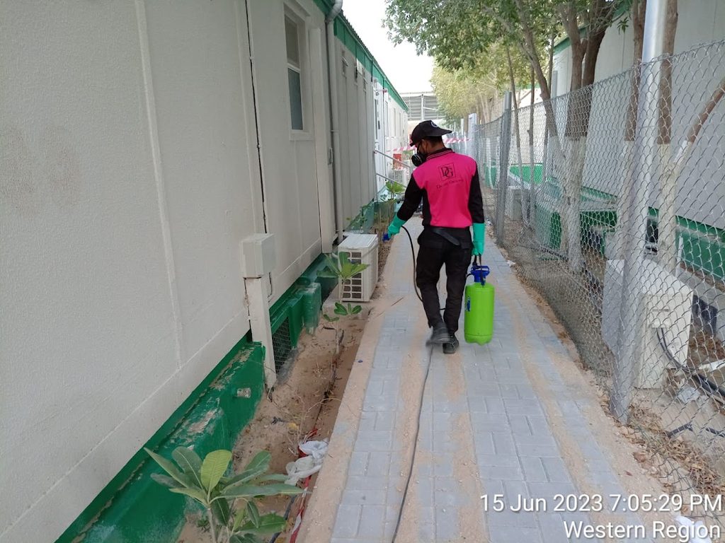 Western Pest Control — pest control in Abu Dhabi, photo 1