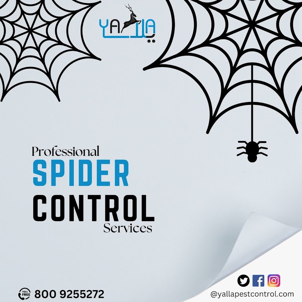 Yalla Pest Control — pest control in Dubai, photo 1